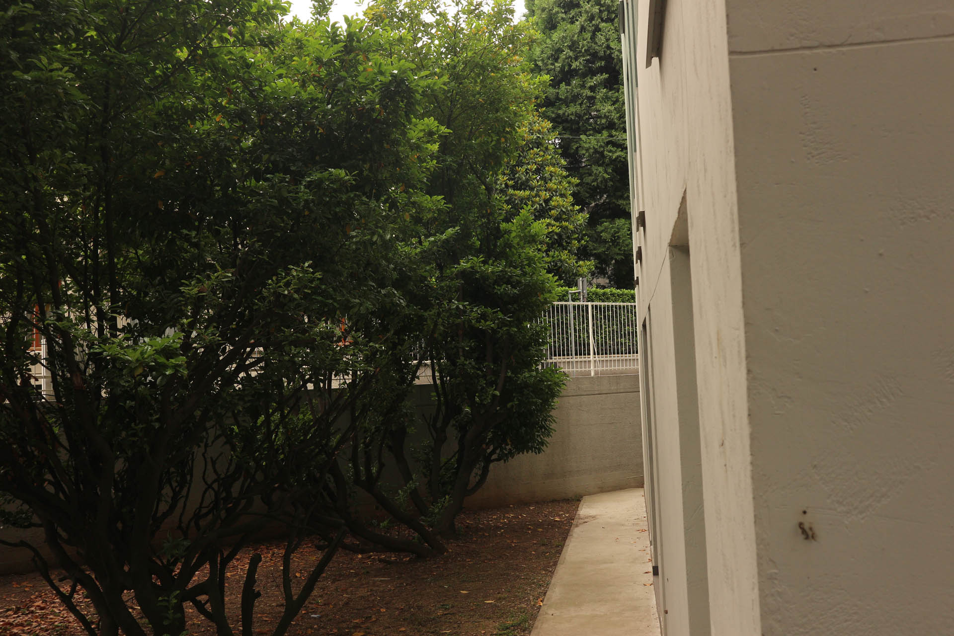 Macherio Social Housing Photo