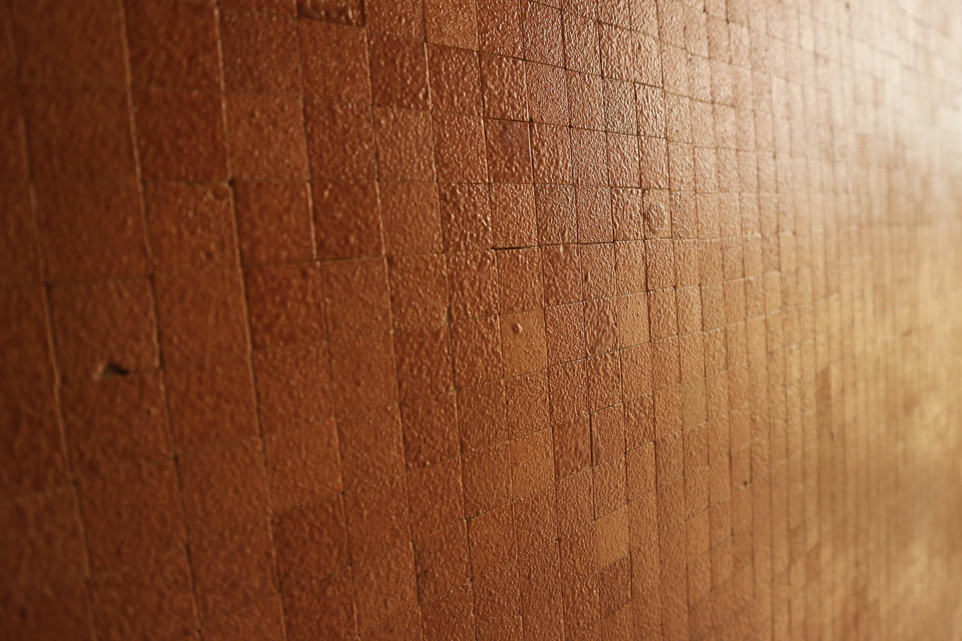 Macherio Social Housing Photo